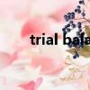 trial balance會計（trial balance）