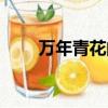 萬年青花的寓意是什么（萬年青花）