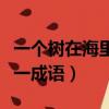 一個樹在海里打一成語是啥（一個樹在海里打一成語）