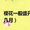 櫻花一般盛開在幾月份開放（櫻花一般盛開在幾月）
