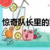驚奇隊長里的貓怎么回事（驚奇隊長里的貓）