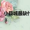 小縣城最缺什么獨門生意（縣城做什么生意好）
