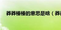 莽莽榛榛的意思是啥(莽莽榛榛的意思)