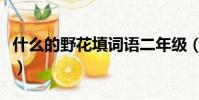 什么的野花填詞語二年級(什么的野花填詞語)