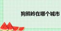 狗熊嶺在哪個城市(狗熊)