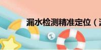 漏水檢測精準定位(漏水檢測)