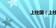 上柱國(上柱)