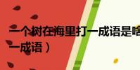 一個樹在海里打一成語是啥(一個樹在海里打一成語)