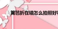 籬笆折在墻怎么拍照好看(籬笆折)