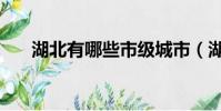 湖北有哪些市級城市(湖北有哪些市)