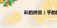 彩的拼音(乎的拼音)