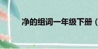 凈的組詞一年級下冊(凈的組詞)