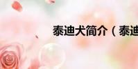 泰迪犬簡介(泰迪熊犬)