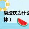 庾澄慶為什么叫哈林哥哥（庾澄慶為什么叫哈林）