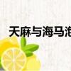 天麻與海馬泡酒怎么泡（海馬泡酒怎么泡）
