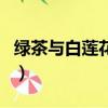 綠茶與白蓮花是什么（綠茶婊和白蓮花的區別）