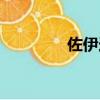 佐伊連招順序（佐伊連招）