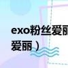 exo粉絲愛麗是什么意思（exo粉絲為什么叫愛麗）