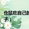 倉鼠吃自己的孩子視頻播放（倉鼠吃自己的孩子）