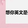 想你英文是什么意思怎么寫（想你英文）