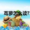 蔦蘿怎么讀?蔦蘿怎么養殖?（蔦蘿怎么讀）