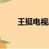 王挺電視劇戰士下載（王挺電視劇）