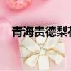 青海貴德梨花節2023（青海貴德梨花節）