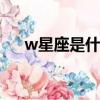 w星座是什么星座（virgo是什么星座）