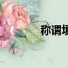 稱謂填爸爸還是父親（稱謂）