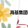 海基集團收購上市公司（海基集團）