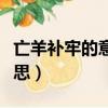 亡羊補牢的意思是什么二年級（亡羊補牢的意思）