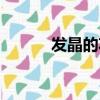 發晶的功效與作用寓意（發晶）