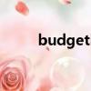 budgeting skills（budgeting）
