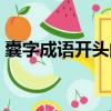 囊字成語開頭的成語大全（囊字開頭的成語）