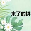 來了的拼音怎么讀音（來了的拼音）