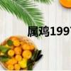 屬雞1997年多少歲（97年多少歲）
