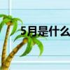 5月是什么日子?（5月20是什么日子）
