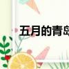 五月的青島老舍讀后感（五月的青島）