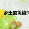 鄉土的籬笆閱讀理解及答案（鄉土的籬笆）