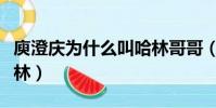 庾澄慶為什么叫哈林哥哥(庾澄慶為什么叫哈林)