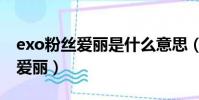 exo粉絲愛麗是什么意思(exo粉絲為什么叫愛麗)