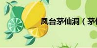 鳳臺茅仙洞(茅仙洞)