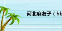 河北麻友子(hbmy)