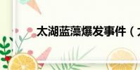 太湖藍藻爆發事件(太湖藍藻)