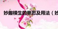 妙趣橫生的意思及用法(妙趣橫生的意思)