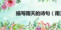 描寫雨天的詩句(雨天的詩句)