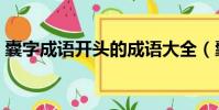 囊字成語開頭的成語大全(囊字開頭的成語)