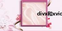 divx和xvid