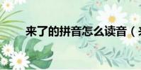 來了的拼音怎么讀音(來了的拼音)