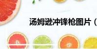 湯姆遜沖鋒槍圖片(湯姆遜)